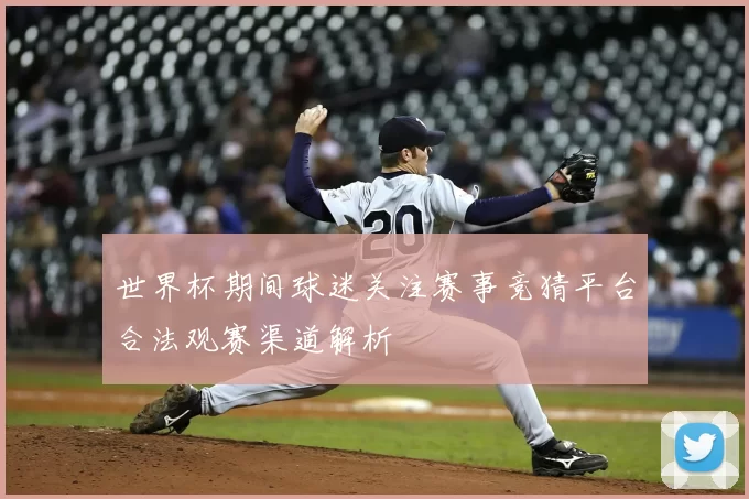 世界杯期间球迷关注赛事竞猜平台合法观赛渠道解析