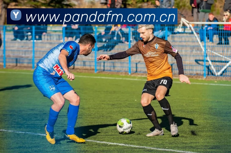 196体育APP官方下载(中国) - 官方网站品牌故事