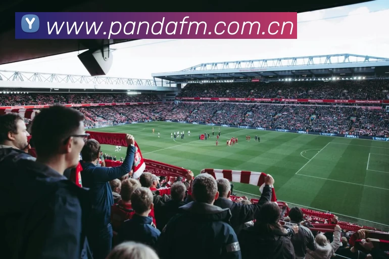 196体育APP官方下载(中国) - 官方网站服务体系